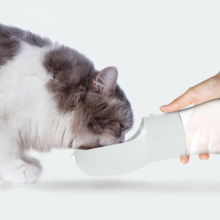 Portable Travel Out Dog Water Dispenser Bottle - Pawspec